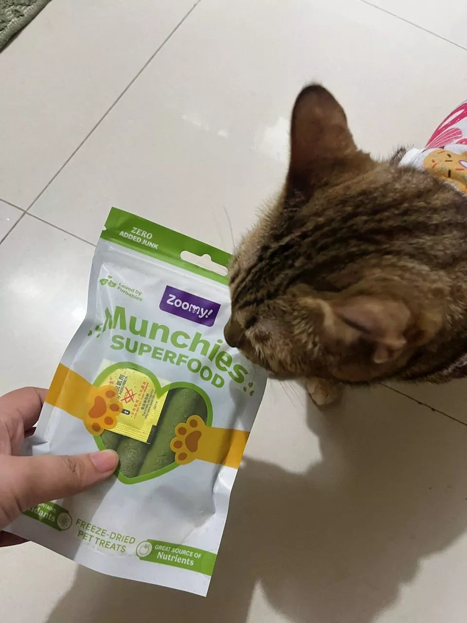 t*****_'s pet